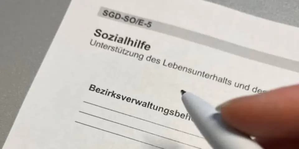 Модель для всей страны: в Штирии вступил в силу самый суровый в Австрии закон о социальной помощи