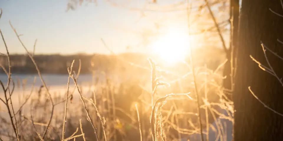 День святого Петра: лед тронулся? Что сулит нам народный календарь и что говорят синоптики