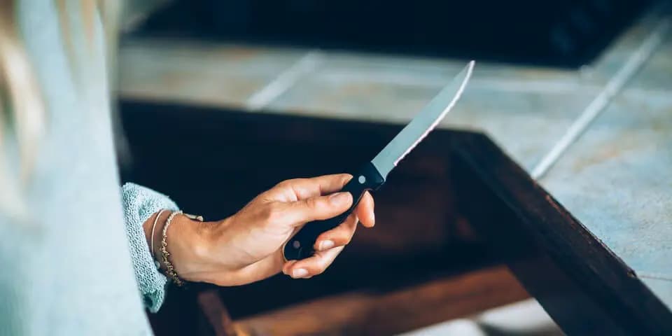 Ножевое ранение в подъезде: полиция Линца задержала гражданку Украины