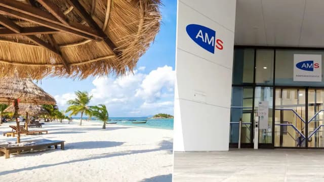 Каникулы в тропиках за счёт AMS: "рабочее место" безработного оказалось на пляже