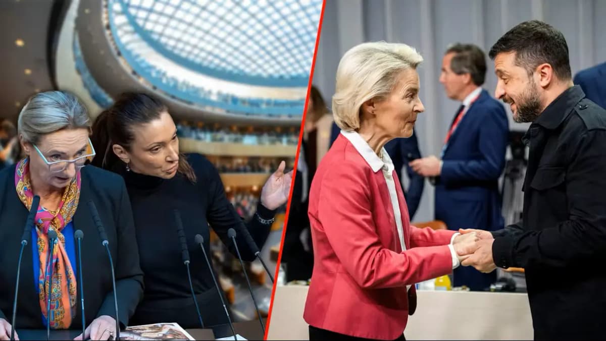 FPÖ говорит "нет":  вступление Украины в ЕС с 2027 года — "было бы смертельным ударом"