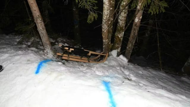 Трагедия в Австрии: 13-летняя мюнхенская школьница погибла во время катания на санях