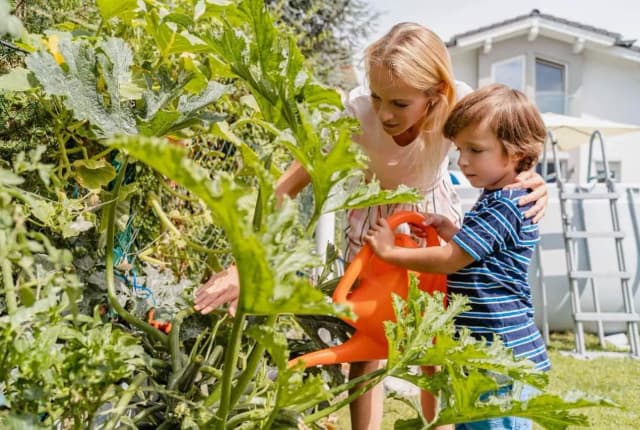 Крах мечты о своём угле: 54 процента австрийцев не верят в возможность купить жильё