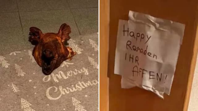 Свиная голова у двери мусульманской семьи в Тироле: полиция ищет преступника, бургомистр объявил награду