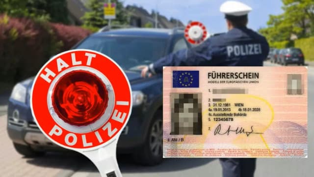 Новые правила ЕС для водителей: цифровые права, электромобили и управление автомобилем с 17 лет