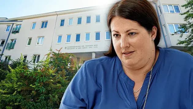 Прозрачность или слежка? Власти Вены вводят балльную систему для получения субсидированной квартиры