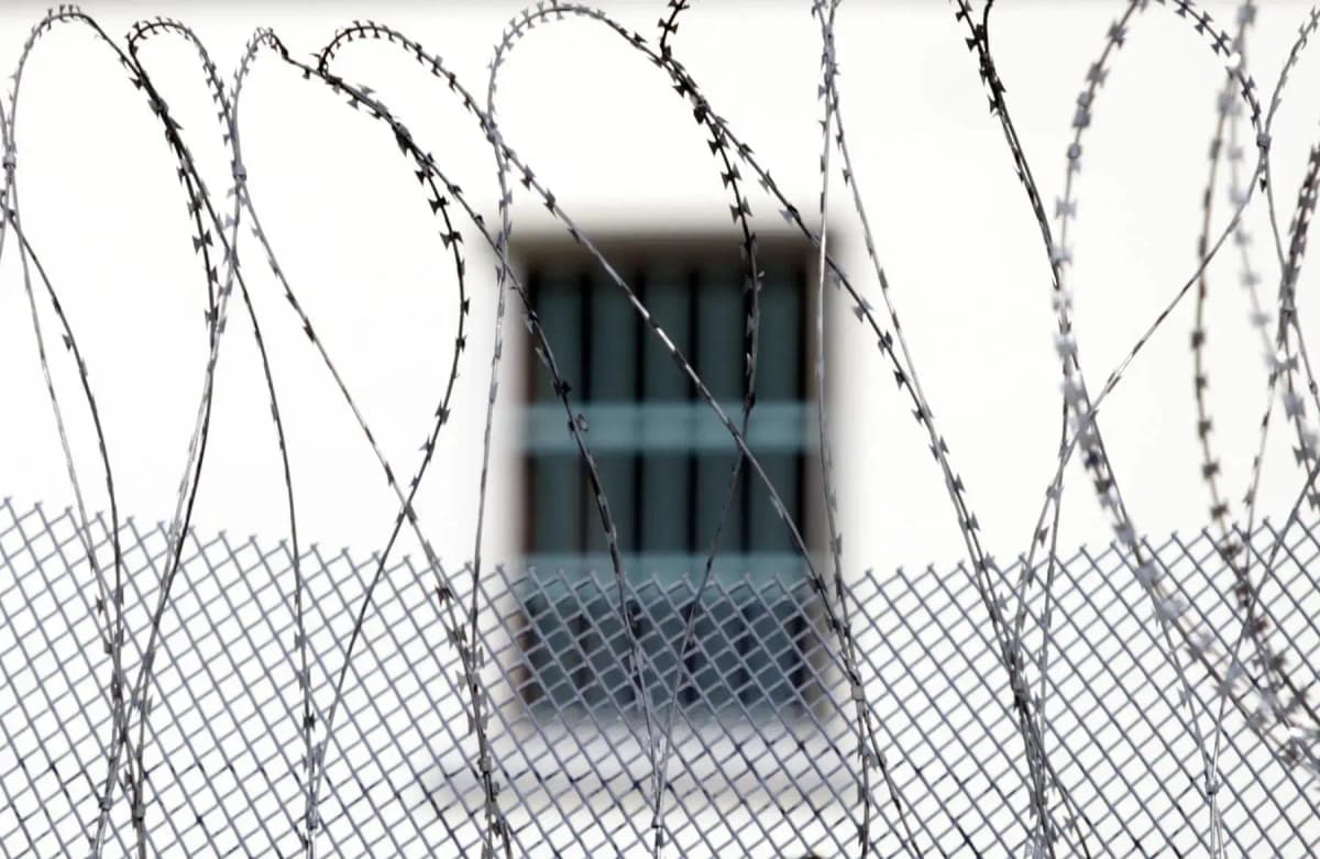 За решеткой и вне ее: почему за пять лет из тюрем Австрии исчезли более 800 человек