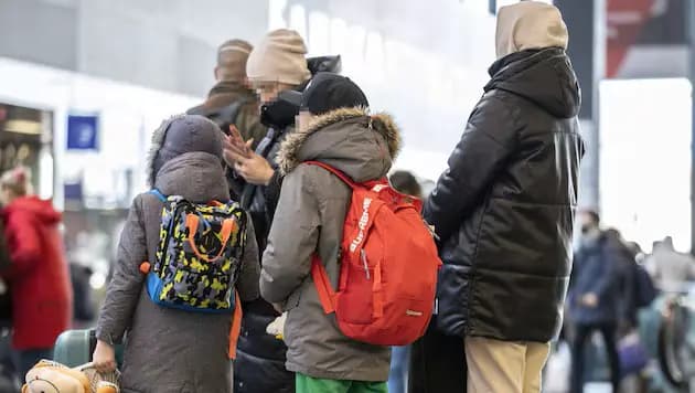 Украинцы возглавляют список: на базовое обеспечение в Тироле потрачено 38 миллионов евро