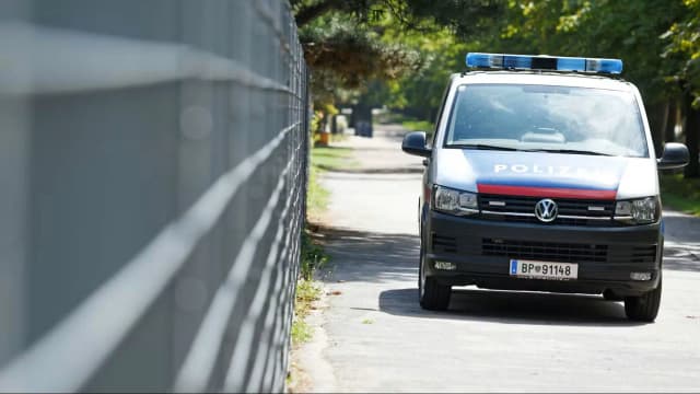 Банда малолетних: 10-летний в числе нападавших, жестоко избивших и ограбивших подростка в парке