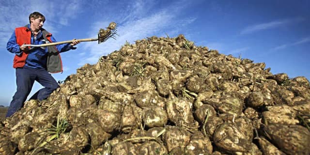 Соглашение с Украиной и МЕРКОСУР уничтожает австрийское свекловодство