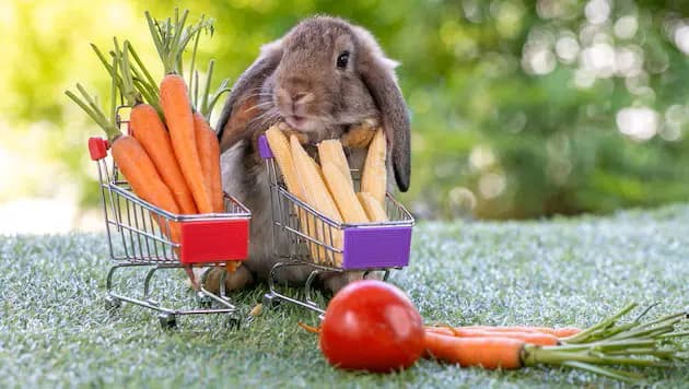 Пасхальные покупки в Вене: где найти открытые пекарни и супермаркеты