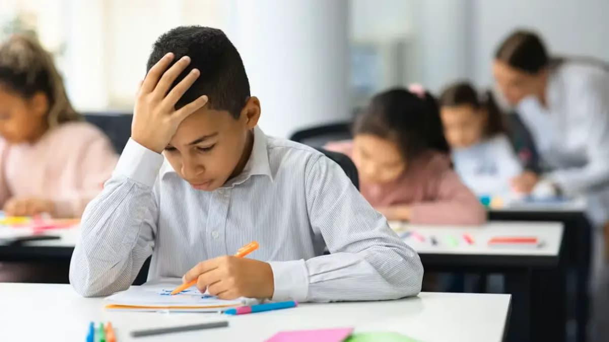 Лео становится Дженнифер: теперь скандальный текст должен быть убран из учебника