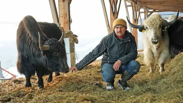 Соглашение МЕРКОСУР подписано, но штирийские фермеры опасаются не Бразилии, а Украины