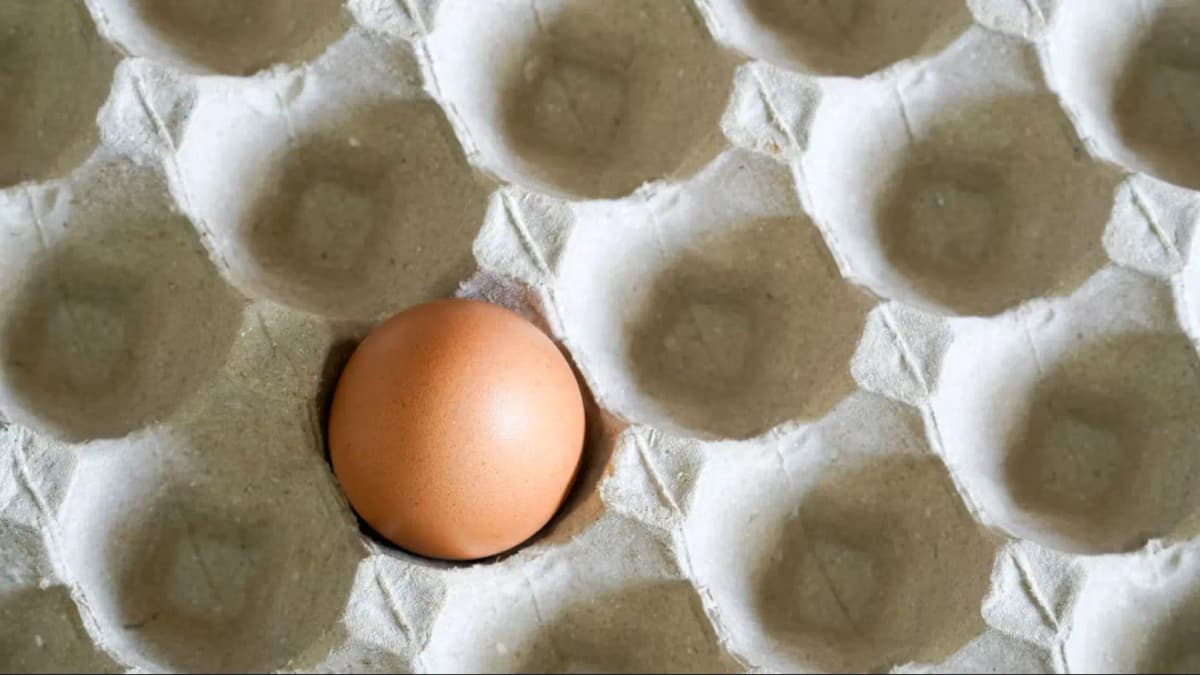 Дефицит яиц в Австрии продлится как минимум до самой Пасхи
