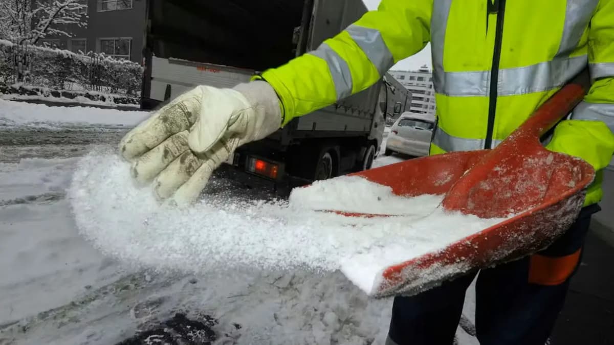 Правила ужесточаются: федеральная земля хочет обязать просителей убежища и украинцев к работе