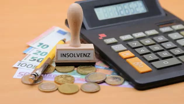 Семь банкротств в день: почему Вена стала столицей корпоративных крахов Австрии