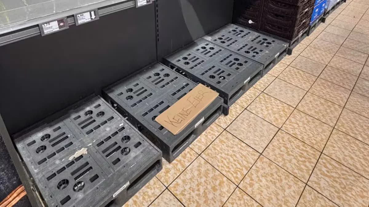 Ажиотаж на яйца в Вене: магазины не справляются со спросом перед Пасхой