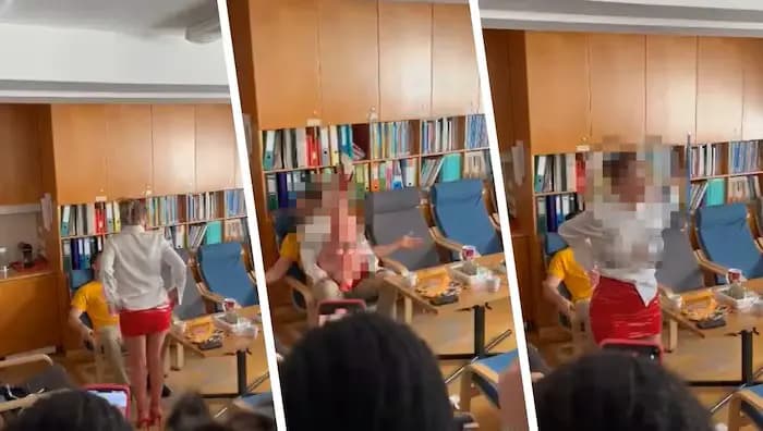 Скандал в венской гимназии: ученики наняли стриптизёршу для учителя, видео попало в сеть