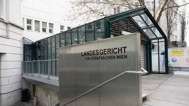 Пластмассовые зубы и два укуса: пьяная украинка напала на полицейских в Вене