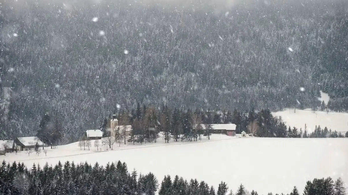 Зима возвращается: прогноз предсказывает снегопад на следующей неделе