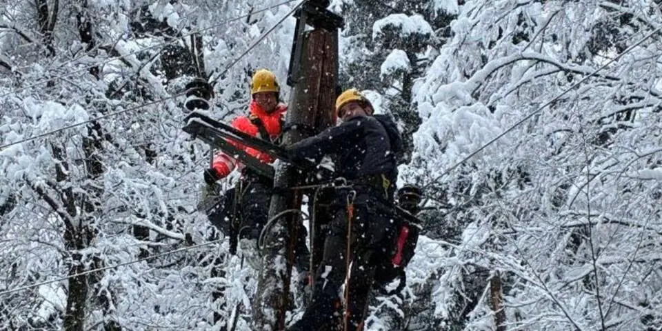 Снежный коллапс: Западная Штирия стала эпицентром рождественских отключений электроэнергии