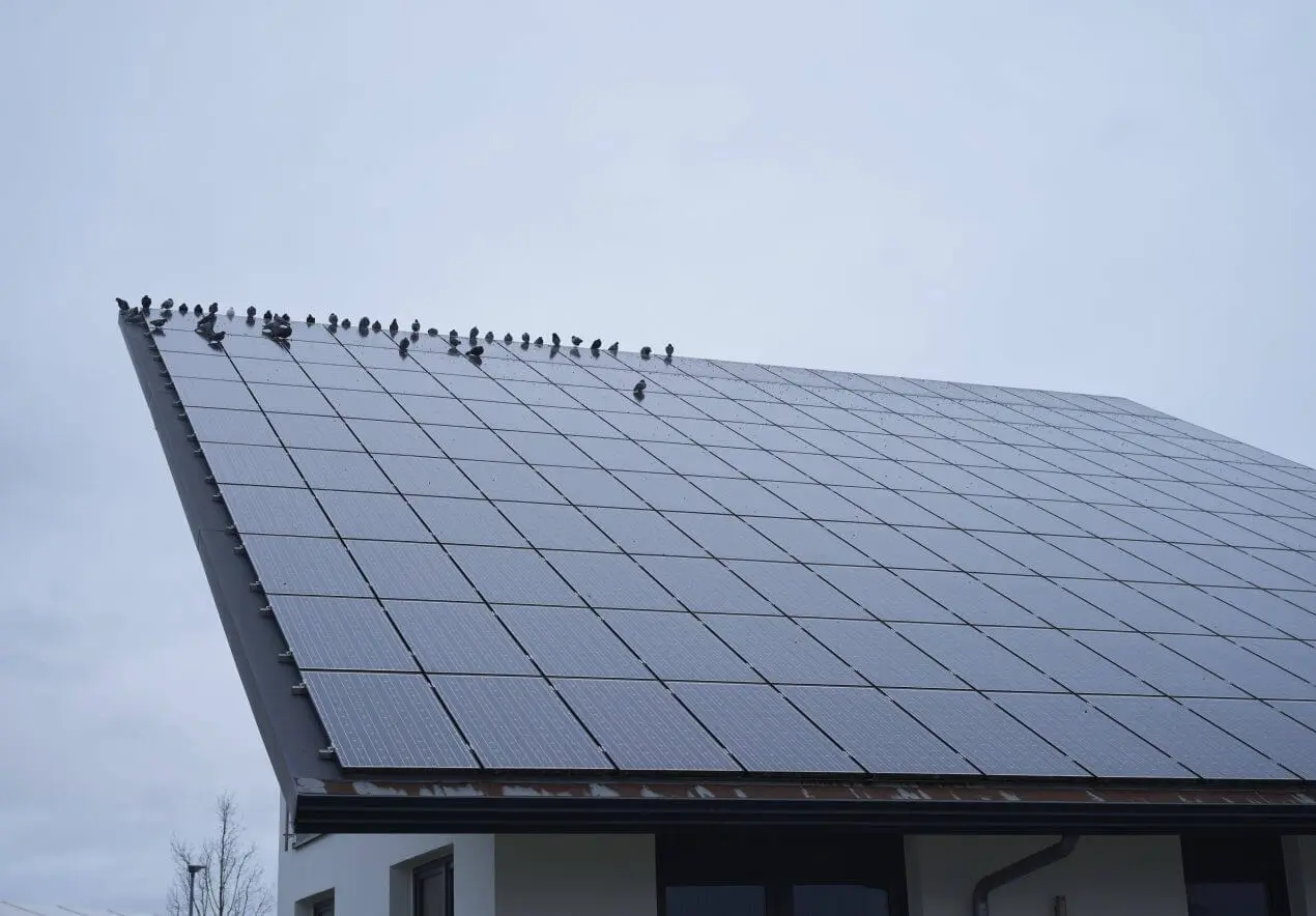 Темные штили тормозят солнечную энергетику: выработка электричества в Австрии снизилась на треть