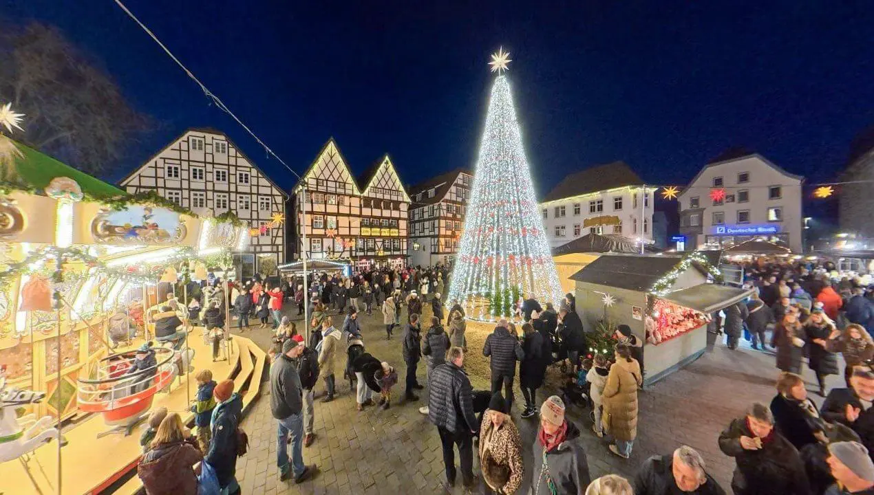 После инцидента возле границы Австрии: FPÖ требует создать «крепость Австрию» и остановить приём беженцев