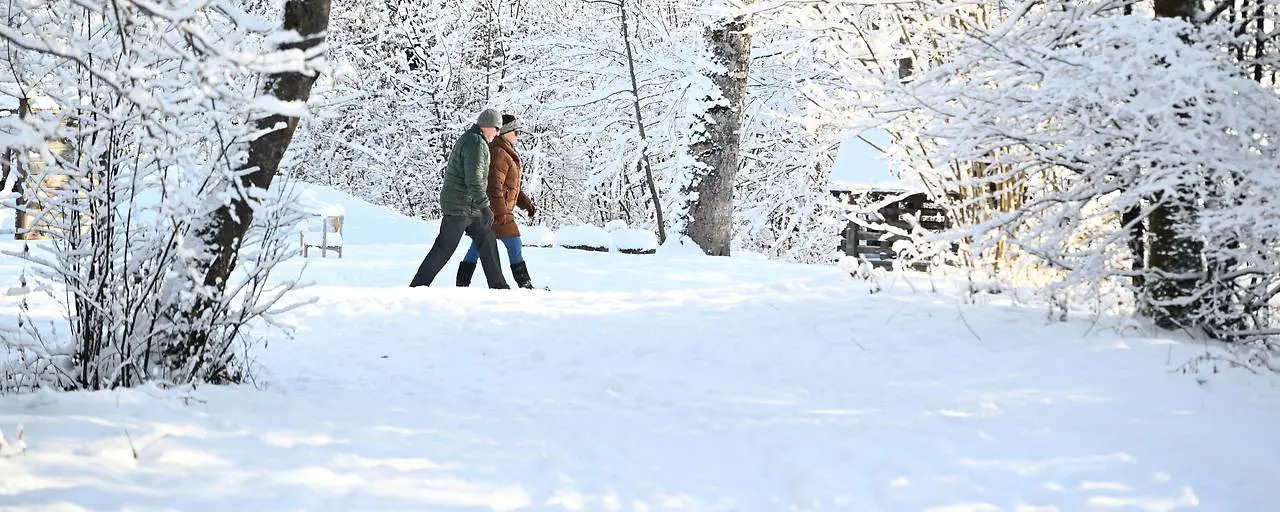 Холоднее некуда: январь-2026 стал самым морозным за 9 лет