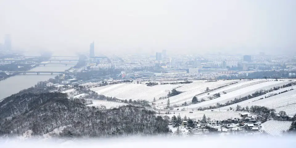 Вена готовится к снегу: новый зимний циклон надвигается на Австрию