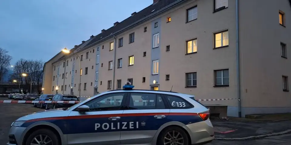 Ужас в Леобене: 11-летний мальчик убит, мать задержана