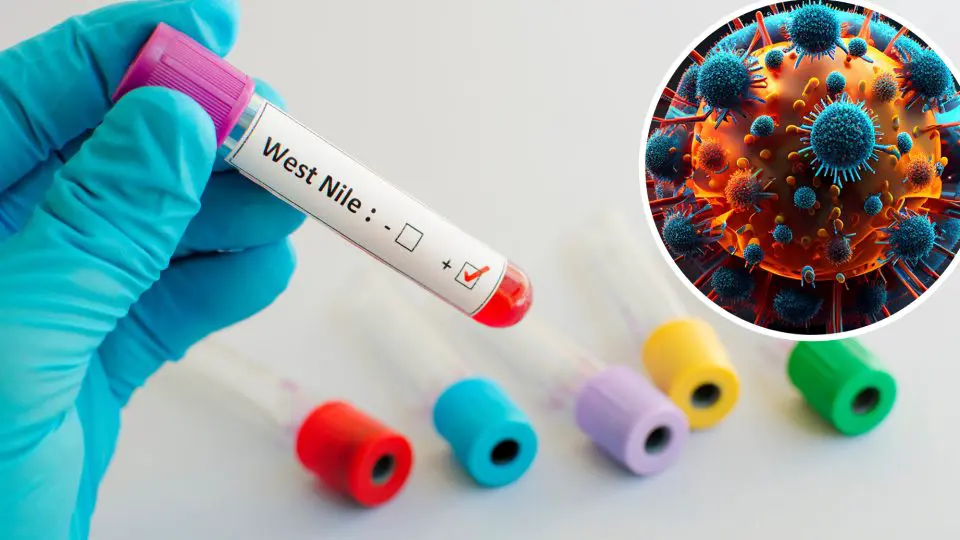 Тревожный рекорд: в Австрии зафиксирован максимум заражений вирусом Западного Нила