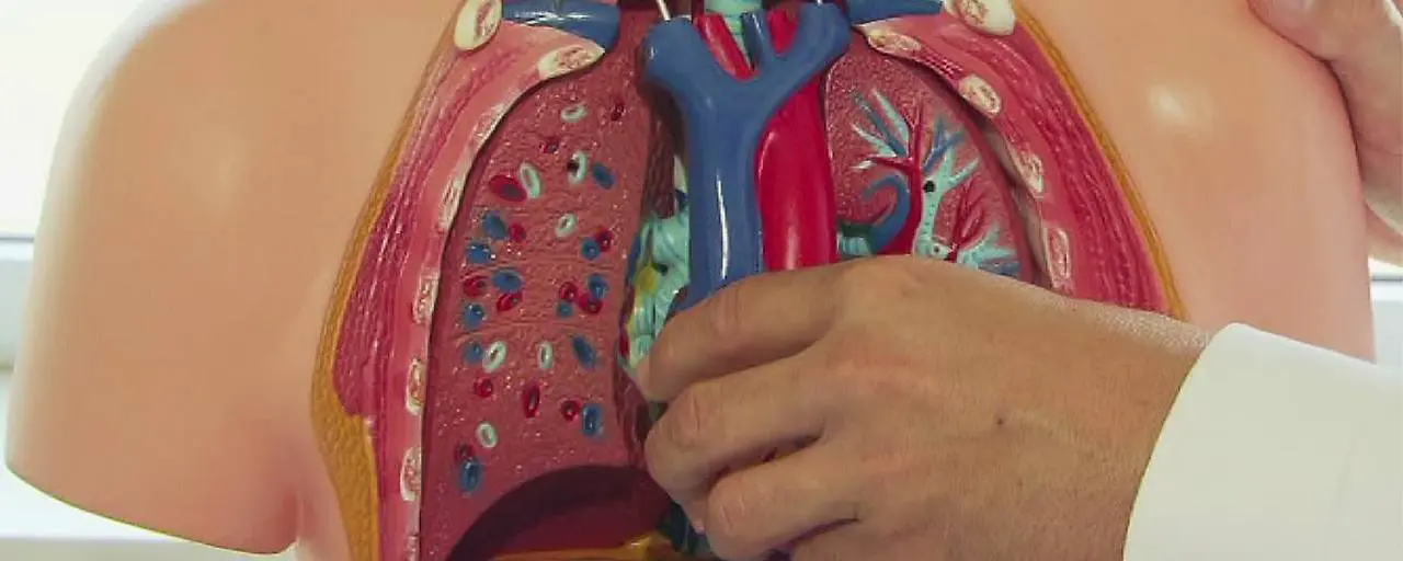 Двойной медицинский скандал в Австрии: здоровые органы удалены из-за фатальных ошибок в диагнозе