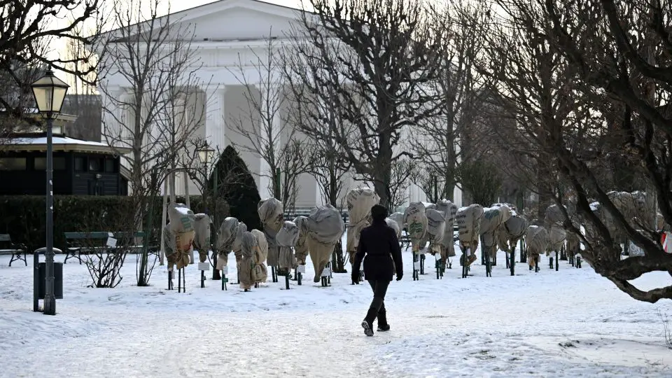 Зима возвращается: в выходные в Австрию придут снегопады и похолодание