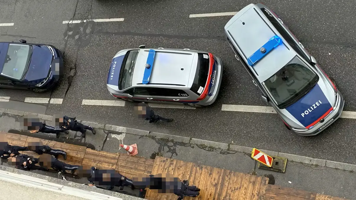 Статистика МВД: рост преступности - доля иностранцев среди подозреваемых приближается к 50%х