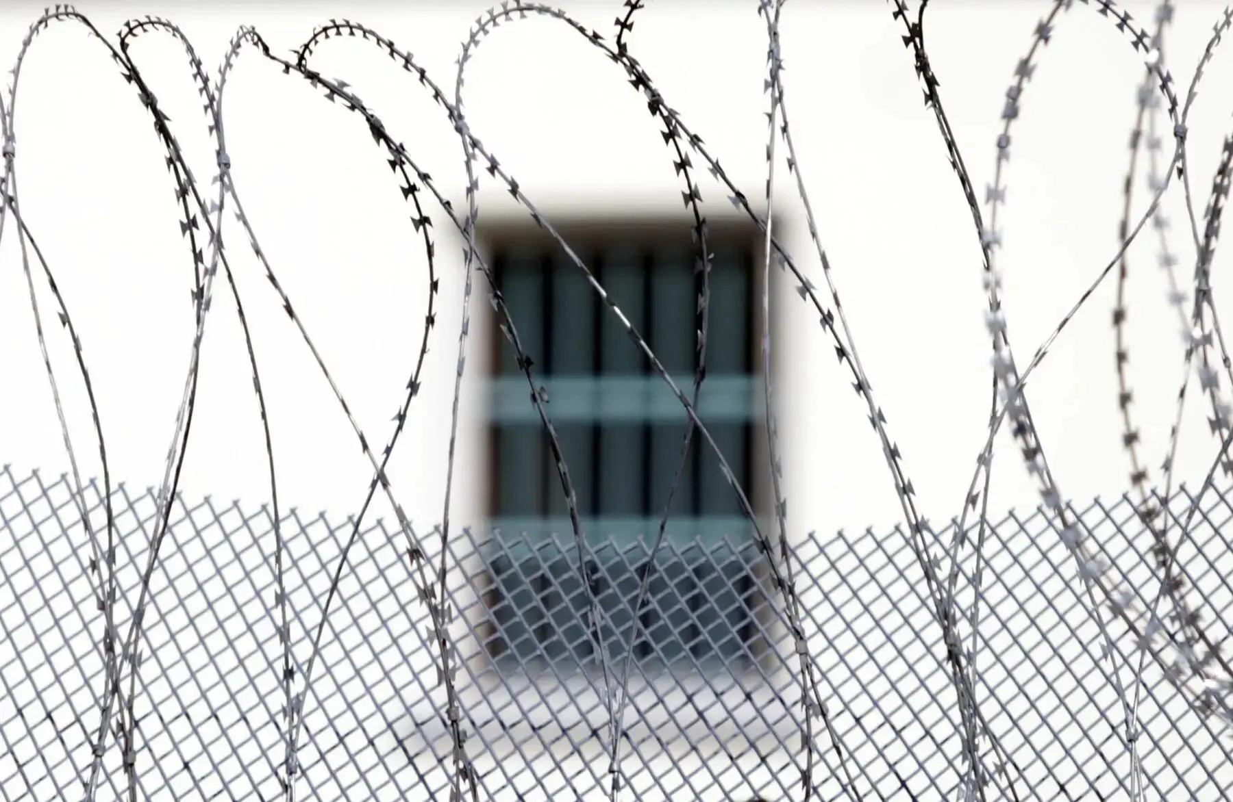 За решеткой и вне ее: почему за пять лет из тюрем Австрии исчезли более 800 человек