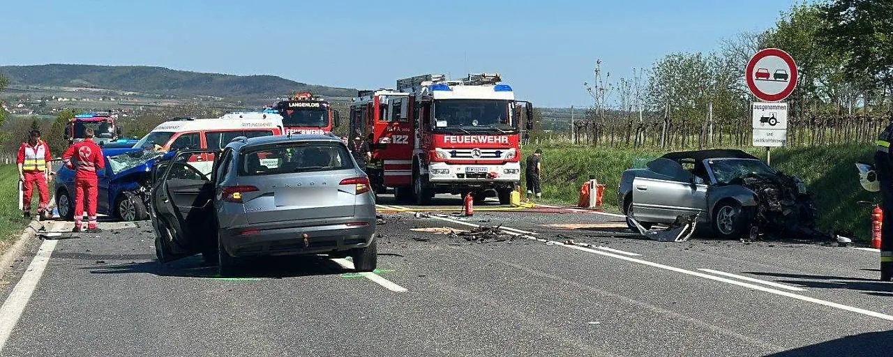 Две трагедии за день: автомобиль утонул в Дунае, ещё двое погибли в лобовом столкновении в Лангенлойсе