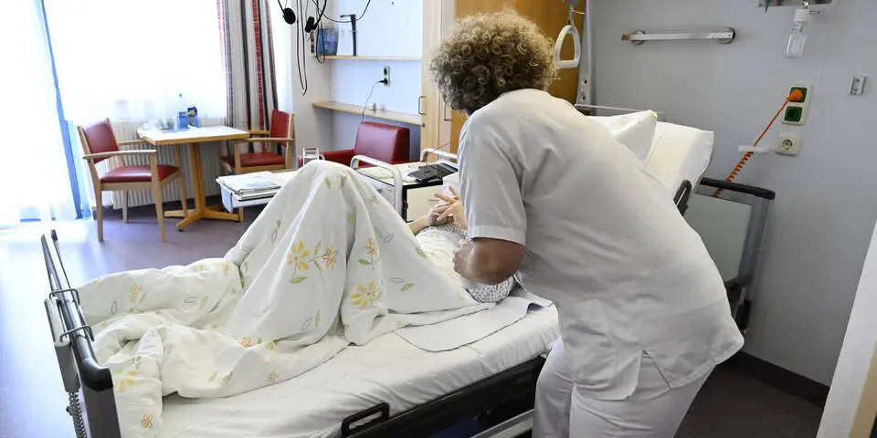 Главные темы в Австрии: здоровье, пенсии и инфляция волнуют людей больше миграции и поддержки Украины