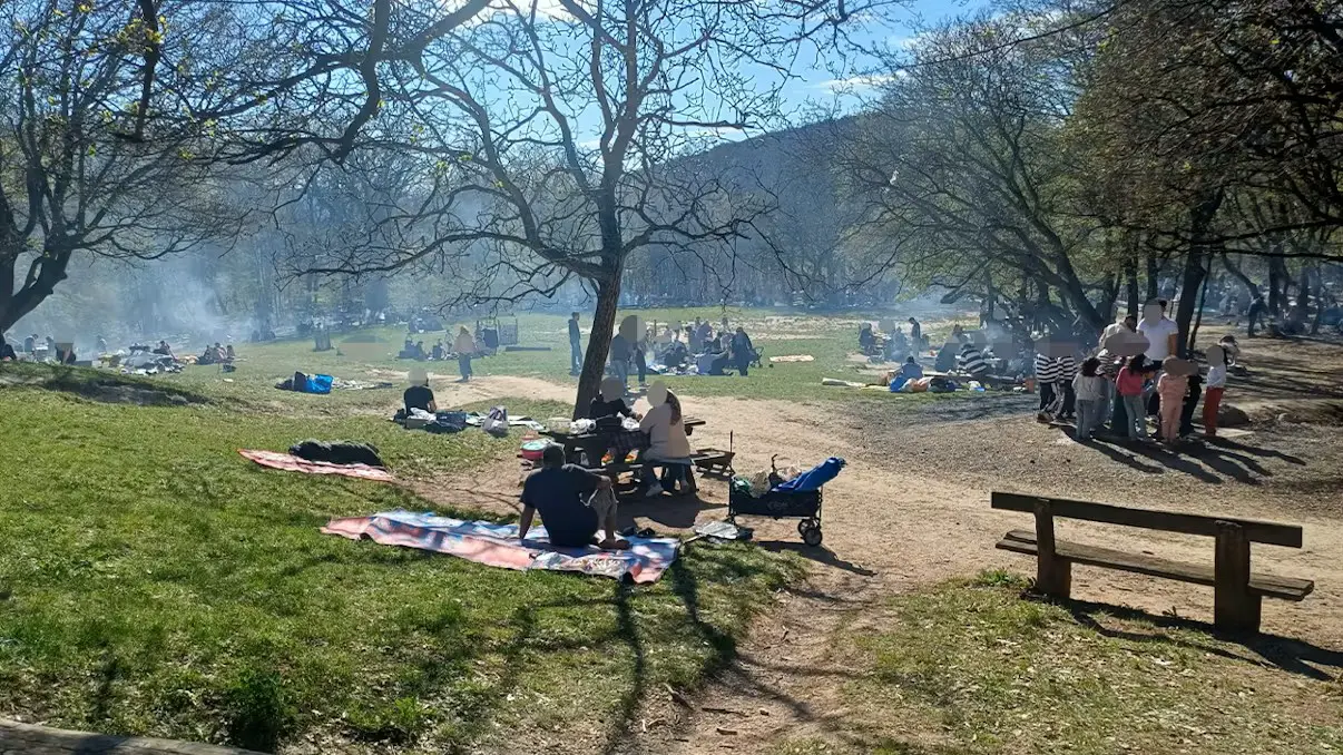 Сезон гриля открыт: массовое барбекю вызвало облако дыма над Веной