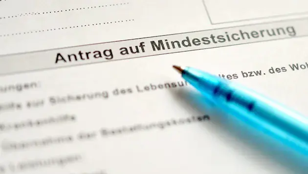 Рекордный рост социального мошенничества в Австрии: 3 из 4 подозреваемых — иностранцы, более 40% дел — в Вене