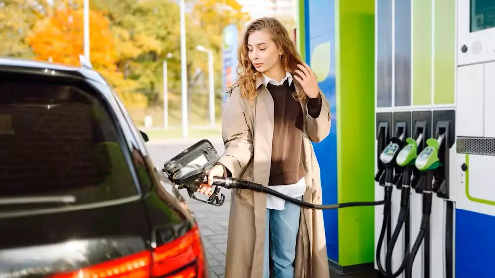 День в истории Австрии