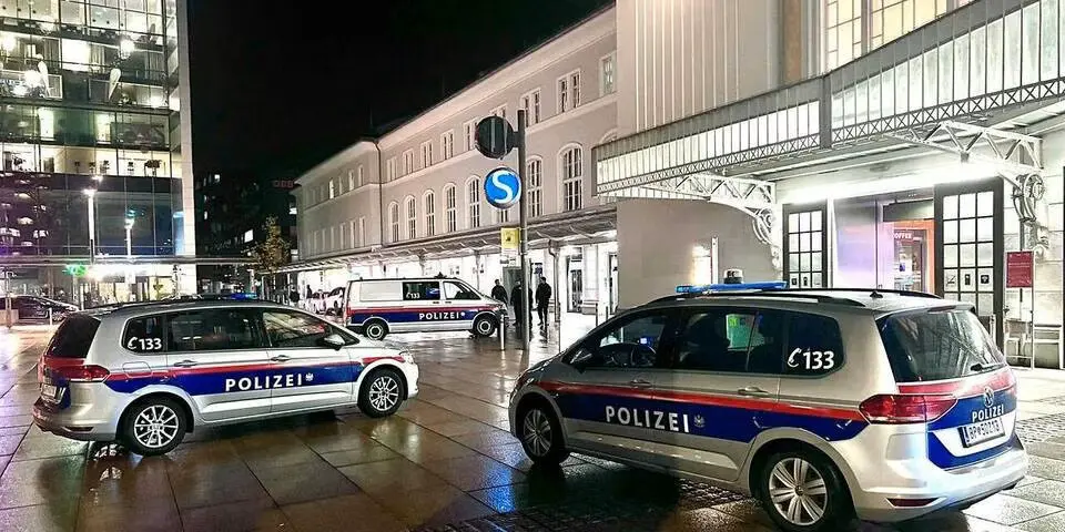 Драка в Зальцбурге: украинцы напали на афганца, пострадавший в больнице