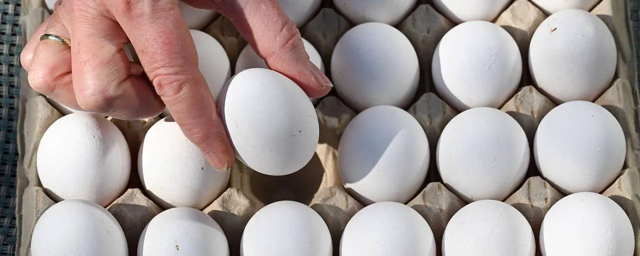 75 000 нелегальных яиц: продукция с Украины без маркировки и документов изъята на крупнейшем оптовом рынке