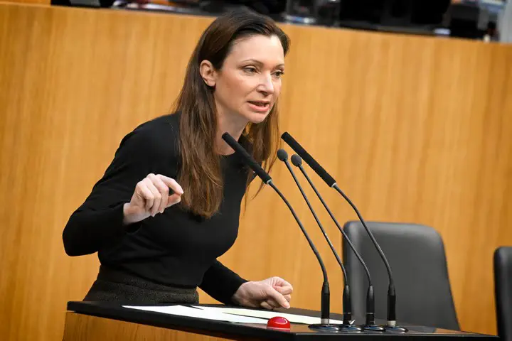 Скандал в австрийском парламенте: слово «ремиграция» раскололо Национальный совет