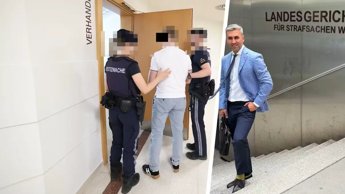 Скандальный процесс в Вене: отца обвиняют в избиении дочери из-за неубранного кошачьего туалета