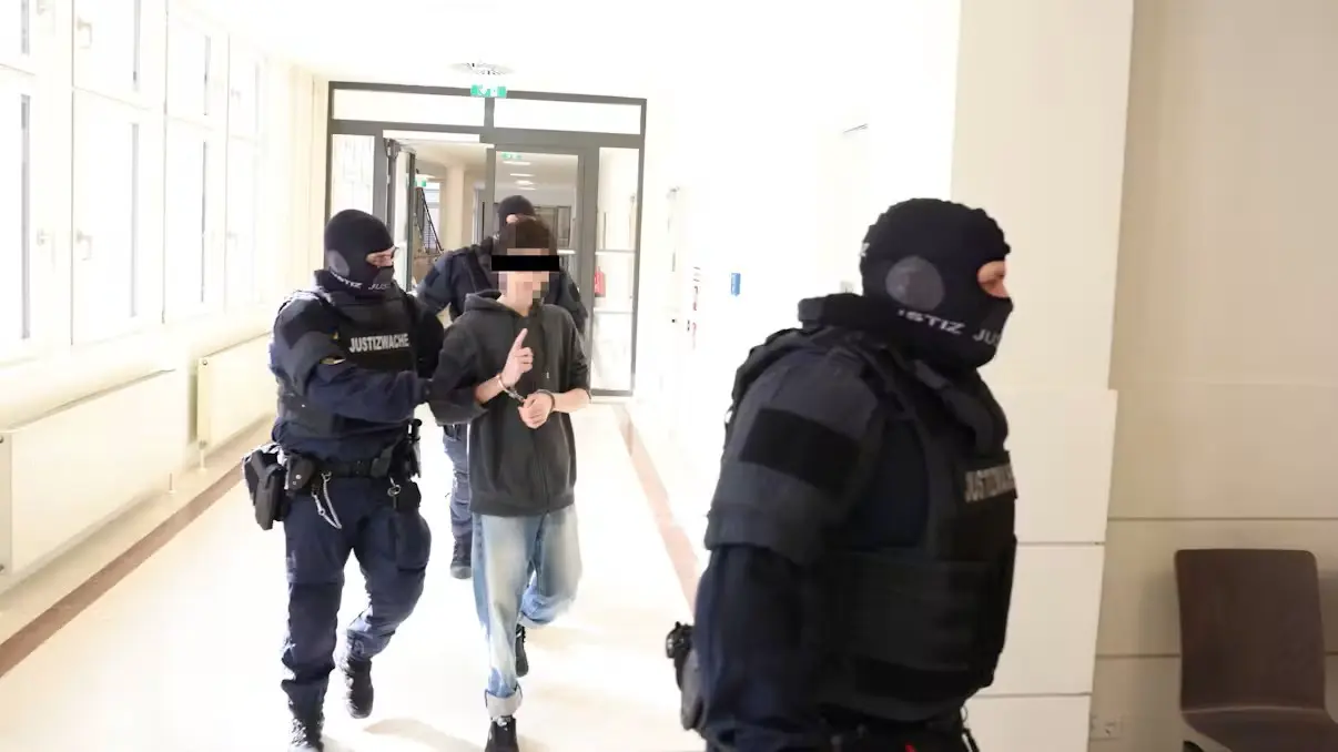 20 полицейских на одного подростка: в Вене разгорелся скандал из-за контроля за радикалом