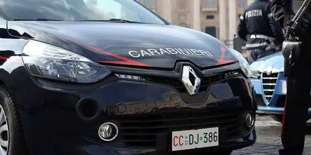 Вызвала полицию из-за кошек — и сама попала за решётку: австрийку задержали в Италии