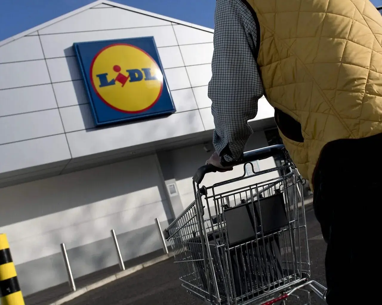 Снова опасная форель в Lidl: отзыв расширили из-за листерий