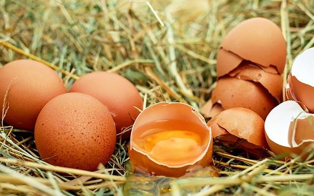 В каждом пятом яйце обнаружены следы фипронила