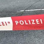 преступление, Тройное убийство в Вене: мать убила детей,расследование, полиция, тройное убийство в вене