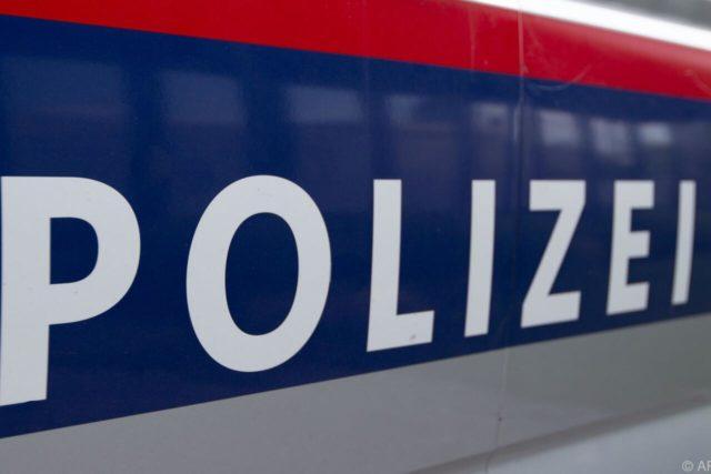 Убийство в Нижней Австрии: сын убил мать ножом, отец ранен